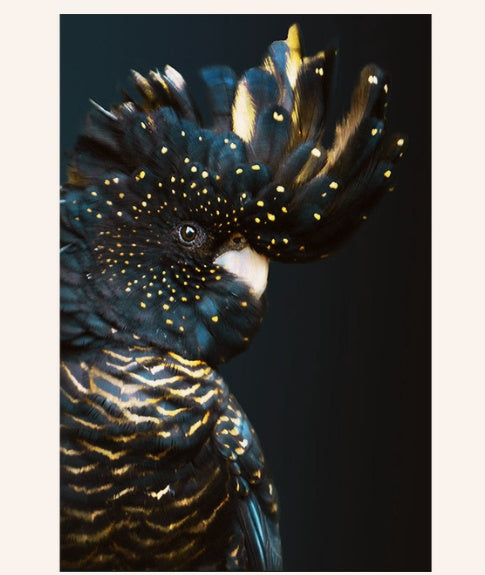 Animal Print Canvas Wall Art