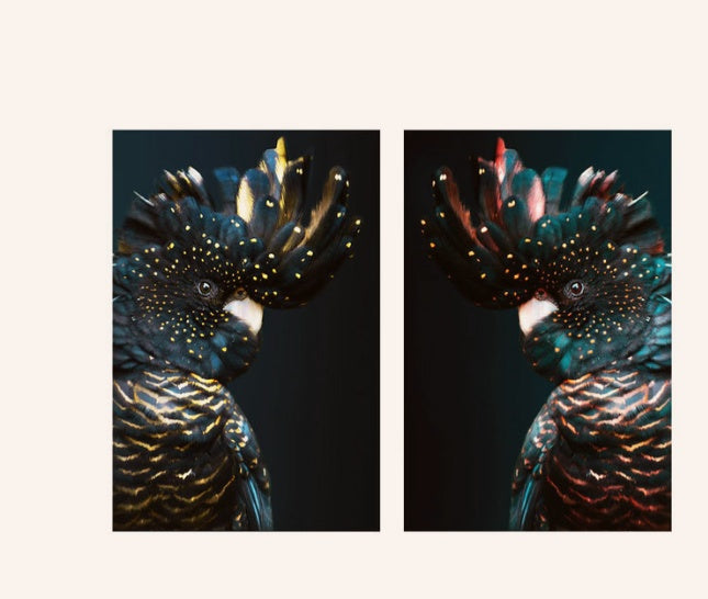 Animal Print Canvas Wall Art