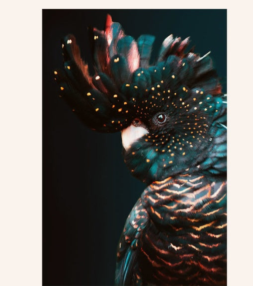 Animal Print Canvas Wall Art